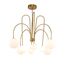 Delight Collection KG1213P-8 brass Люстра, изображение 2