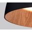 Delight Collection C0207-500A black/wood Потолочный светильник, изображение 2