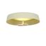 Delight Collection MX19001031-1A yellow Потолочный светильник