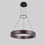 Delight Collection P0080-600A dark coffee/black Подвесной светильник, изображение 2