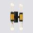 Delight Collection MB18001040-4A black/gold Настенный светильник, изображение 2