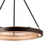 Delight Collection MD8790-1A black/gold Подвесной светильник, изображение 3