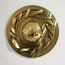 Delight Collection 8109W/800 brass Настенный светильник Anodine 80 brass brass, изображение 4