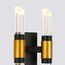 Delight Collection MB18001040-4A black/gold Настенный светильник, изображение 3