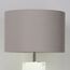 Delight Collection BRTL3187S Настольная лампа, изображение 4