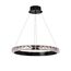 Delight Collection OMB81072/60 black Люстра, изображение 2