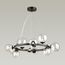 Delight Collection OMG1075R black/clear Люстра, изображение 2