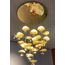 Delight Collection 8827P/29 gold Люстра, изображение 3