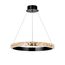 Delight Collection OMB81072/60 black Люстра, изображение 3