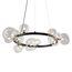 Delight Collection OMG1075R black/clear Люстра