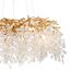 Delight Collection FTB006R-100 brass/clear Люстра, изображение 3