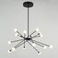 Delight Collection MD19001025-16A black Люстра, изображение 2