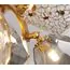 Delight Collection 8898P/AL gold/smoky Люстра, изображение 11