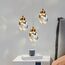 Delight Collection 9701P/3R brass Подвесной светильник, изображение 3