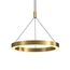 Delight Collection P0516-600A titanium gold Люстра