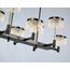 Delight Collection MD21020075-8B matt black Люстра, изображение 3