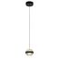 Delight Collection MD22030002-1A black/clear Подвесной светильник, изображение 2