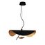 Delight Collection 8821P/D600 black/gold Подвесной светильник, изображение 2