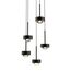 Delight Collection MD2826-5A black Подвесной светильник