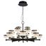 Delight Collection MD21020075-20A matt black Люстра, изображение 2