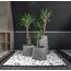 Delight Collection CONE NERO Кашпо, изображение 5