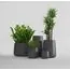 Delight Collection CONE NERO Кашпо, изображение 8