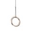 Delight Collection P0880-1A s-gold Подвесной светильник, изображение 2
