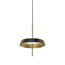 Delight Collection MD18001061-1A  black/gold Подвесной светильник