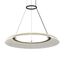 Delight Collection OD2501-D60 gold/black Подвесной светильник