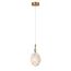 Delight Collection RP168421-1 brass Подвесной светильник, изображение 2