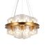 Delight Collection BRCH9191-AB Люстра