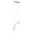 Delight Collection OB2412-1 gold/clear Подвесной светильник, изображение 2