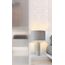 Delight Collection BRTL3354S Настольная лампа, изображение 3