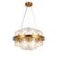 Delight Collection BRCH9191-AB Люстра, изображение 2