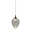 Delight Collection MD24001012-1A black/smoky Подвесной светильник