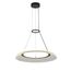 Delight Collection OD2501-D60 gold/black Подвесной светильник, изображение 2