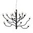 Delight Collection P0550-18A black Люстра P0550-18A black