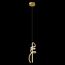 Delight Collection MD24083012-1A gold Подвесной светильник, изображение 4