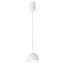 Favourite 4511-1P, подвес, D80xH140/1800, LEDx8W, 850LM, 4000K, IP20, CRI>90, included