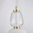Favourite 4057-1P, подвес, D170xH630/1830, LEDx29W, 2609LM, 3000K, included, изображение 4