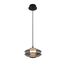 Favourite 4642-1P, подвес, D150xH245/1445, LEDx6W, 630LM, 4000K, included