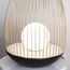 Favourite 4241-1T, настольный светильник, D280xH430, LEDx7W, 650LM, 4000K, included, switch, изображение 4
