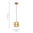 Favourite 4624-1P, подвес, D200xH210/1745, LEDx10W, 490LM, 3000K, included, изображение 2