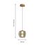 Favourite 4625-1P, подвес, D200xH210/1745, LEDx10W, 490LM, 3000K, included, изображение 2