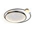 F-Promo 4742-5C, потолочный светильник, L500xW600xH100, LEDx34W/68W, 1800/3000LM, 3000/4500/6000K, included, remote control, изображение 2