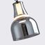 Favourite 4243-1P, подвес, D260xH500/1800, LEDx6W, 639LM, 4000K, included, изображение 3