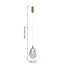 Favourite 4257-2P, подвес, D220xH490/1990, LEDx4.3W, 520LM, 4000K, included, изображение 2
