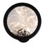 Favourite 4375-1W, настенный светильник, D45xW215xH225, LEDx10W, 600LM, 4000K, CRI>90, included