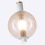 Favourite 4314-1P, подвес, D160xH345/1935, LEDx9W, 650LM, 4000K, CRI>90, included, изображение 3