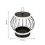 F-Promo 4435-2T, настольный светильник, D250xH250, LEDx12W, 1200LM, 3000-6000K, included, switch, изображение 3